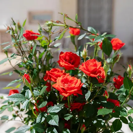 Pietra Di Luna Relaxing Private Terrace Apartment Polignano a Mare