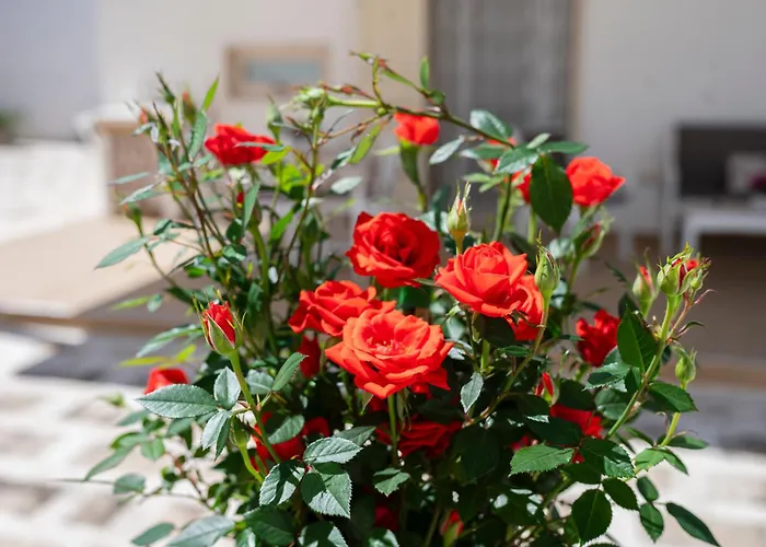 Pietra Di Luna Appartamento Polignano a Mare